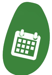 Activity Calendar